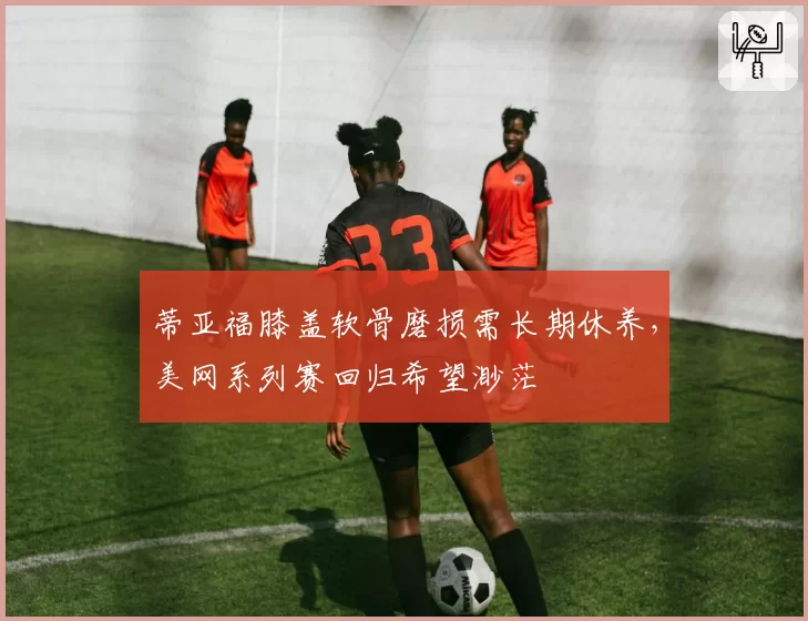 蒂亚福膝盖软骨磨损需长期休养,美网系列赛回归希望渺茫