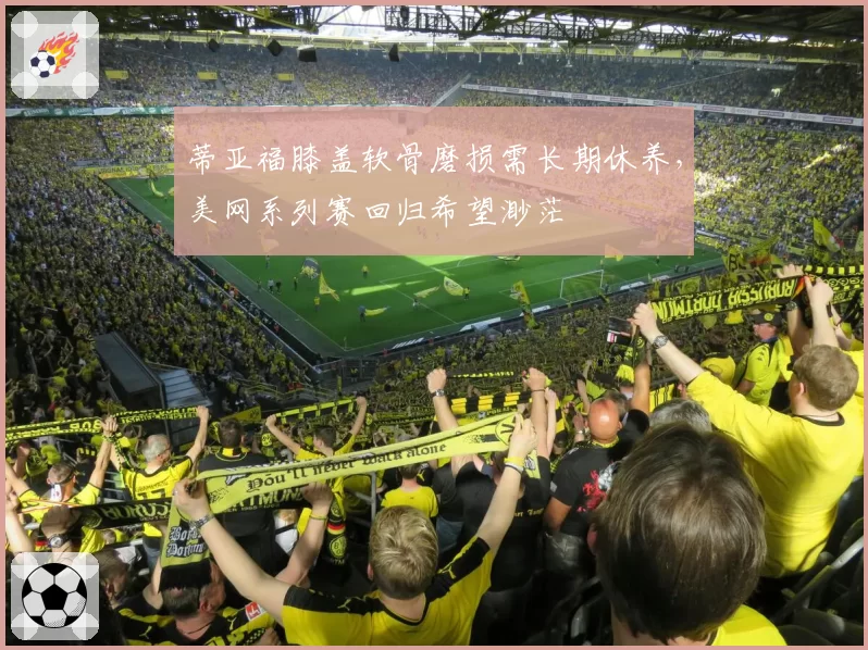 蒂亚福膝盖软骨磨损需长期休养,美网系列赛回归希望渺茫